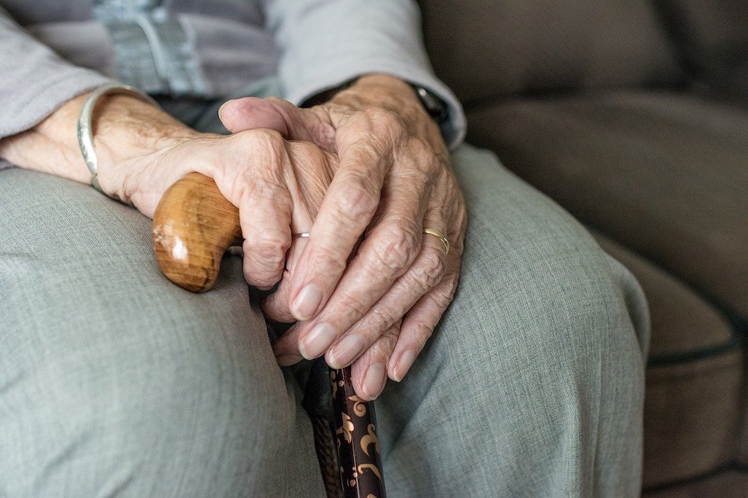 elderly hand cane